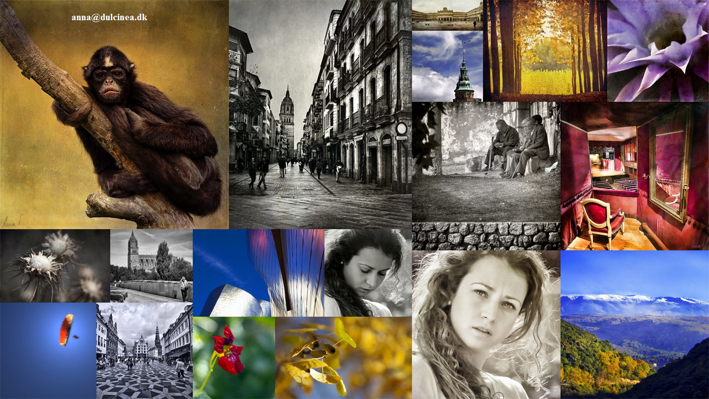 Dulcinea_1440